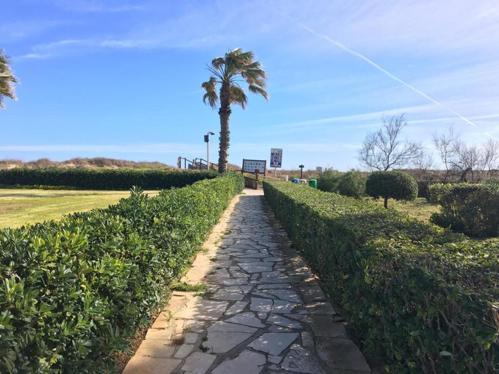 Apartamento A 100 Metros De La Playa Con Grande Terraza Y Vistas Al Mar Daimus Kültér fotó