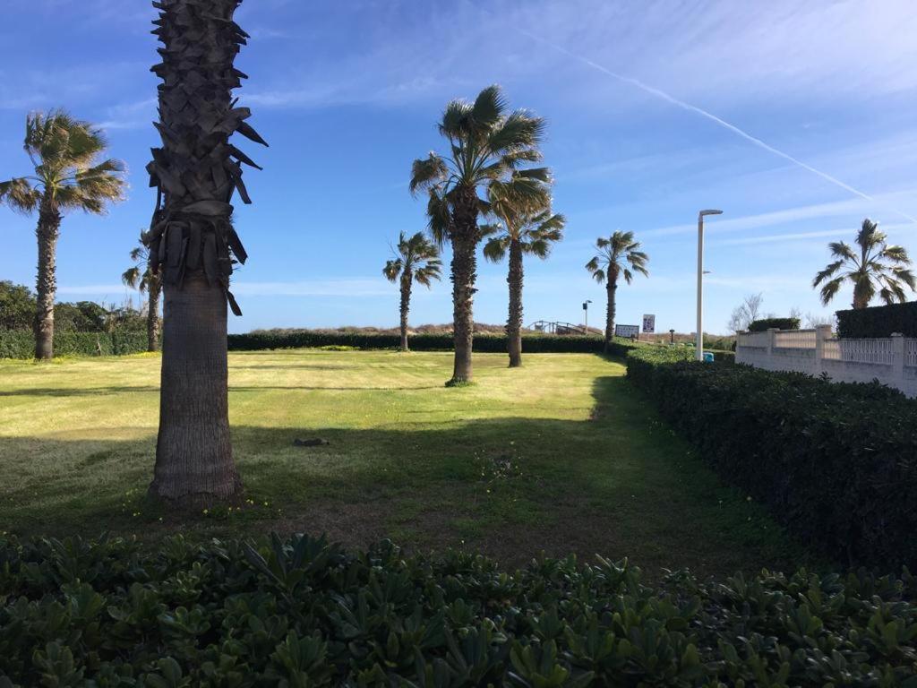 Apartamento A 100 Metros De La Playa Con Grande Terraza Y Vistas Al Mar Daimus Kültér fotó